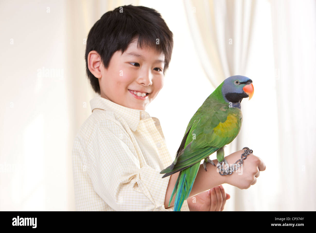 Child with parrot home hires stock photography and images Alamy