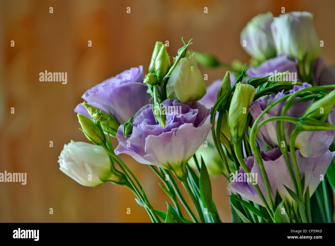 Bouquet of lilac and white flowers Stock Photo - Alamy
