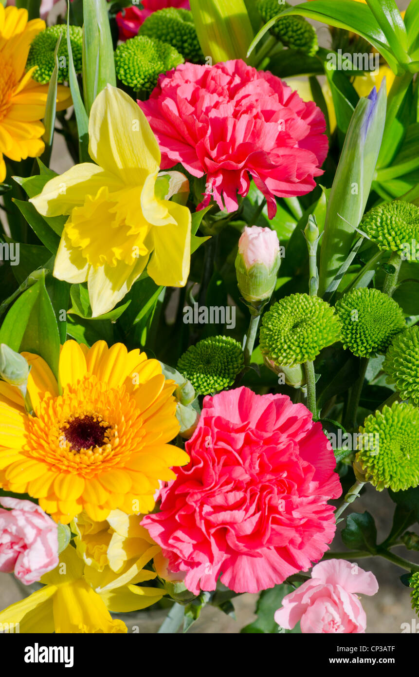 Cut flowers - spray chrysanthemum, carnation, spray carnation, iris, sunflower, daffodil. Stock Photo