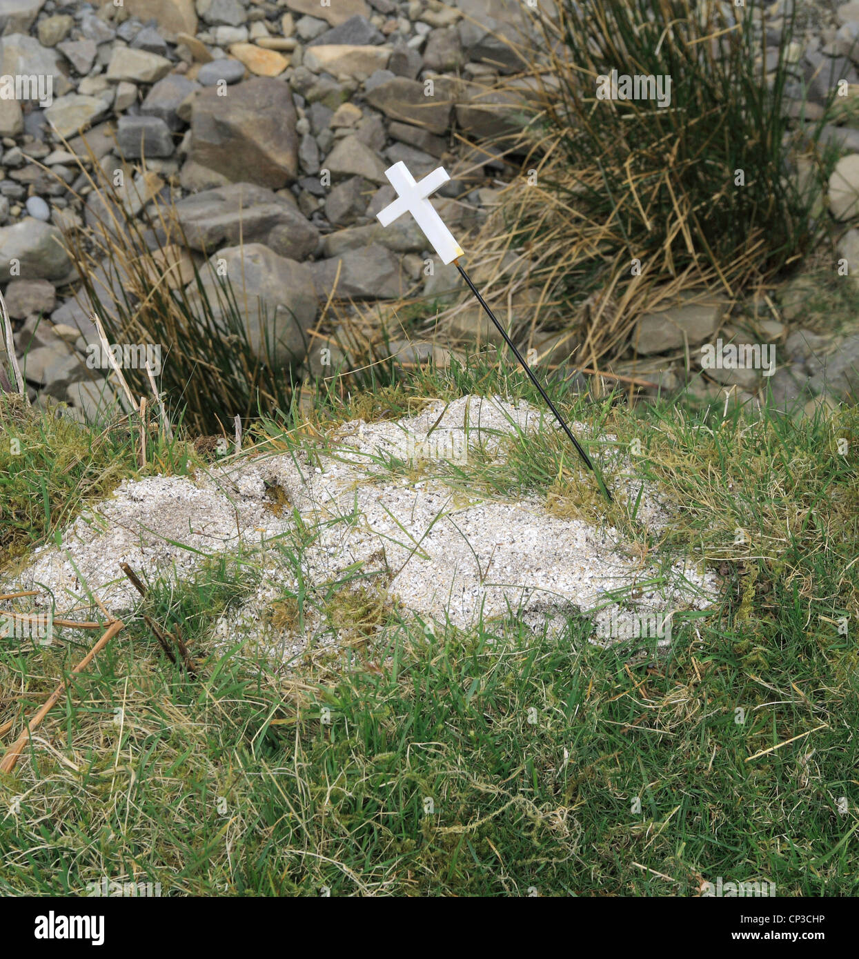 Stones Made From Human Ashes
