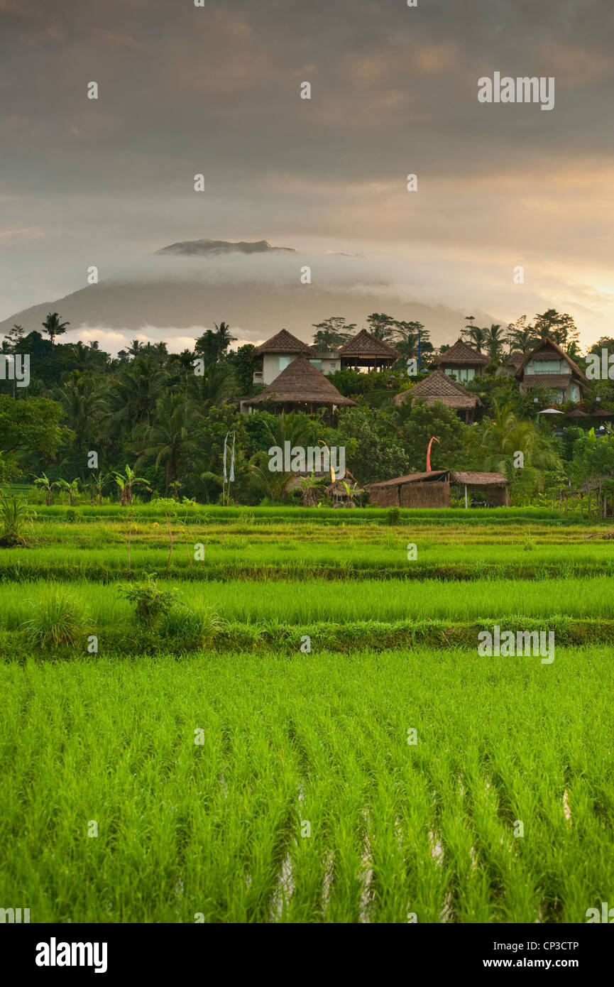 A Beautiful Sunrise Over The Rice Fields In The Sidemen Valley Of Bali Indonesia Mt Agung Can Be Seen In The Background Stock Photo Alamy