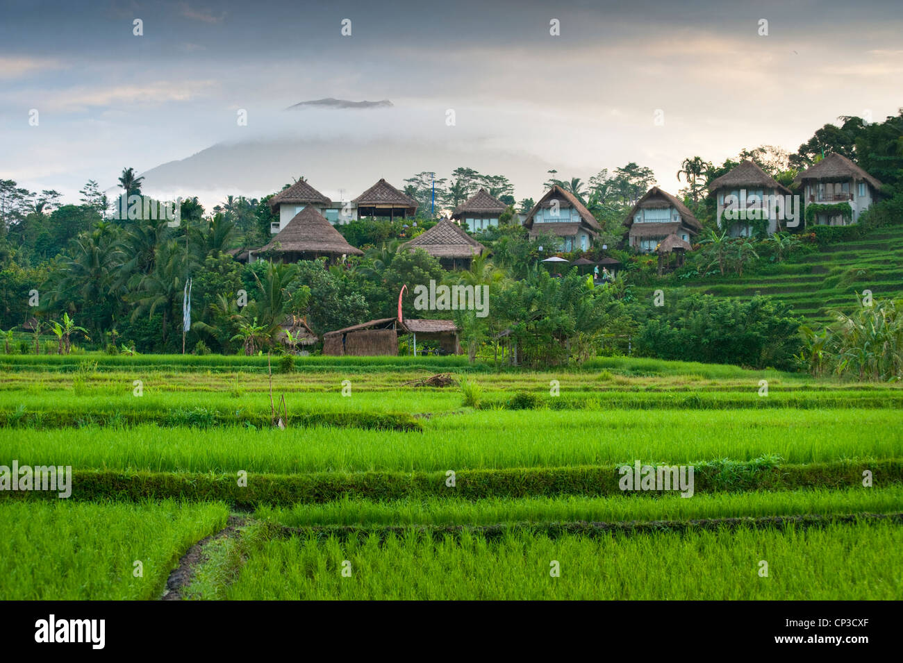 The Beautiful Rice Fields Of The Sidemen Valley In Eastern Bali The Beautiful Rice Fields Of The Sidemen Valley In Eastern Bali