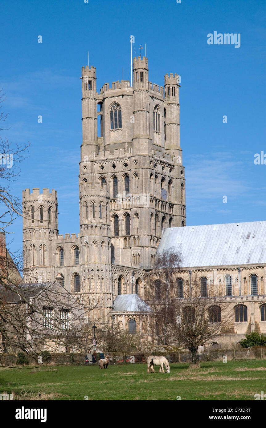 West tower of Ely Cathedral seen from green fields of Ely Park to the south in spring sunshine with blue sky Stock Photo