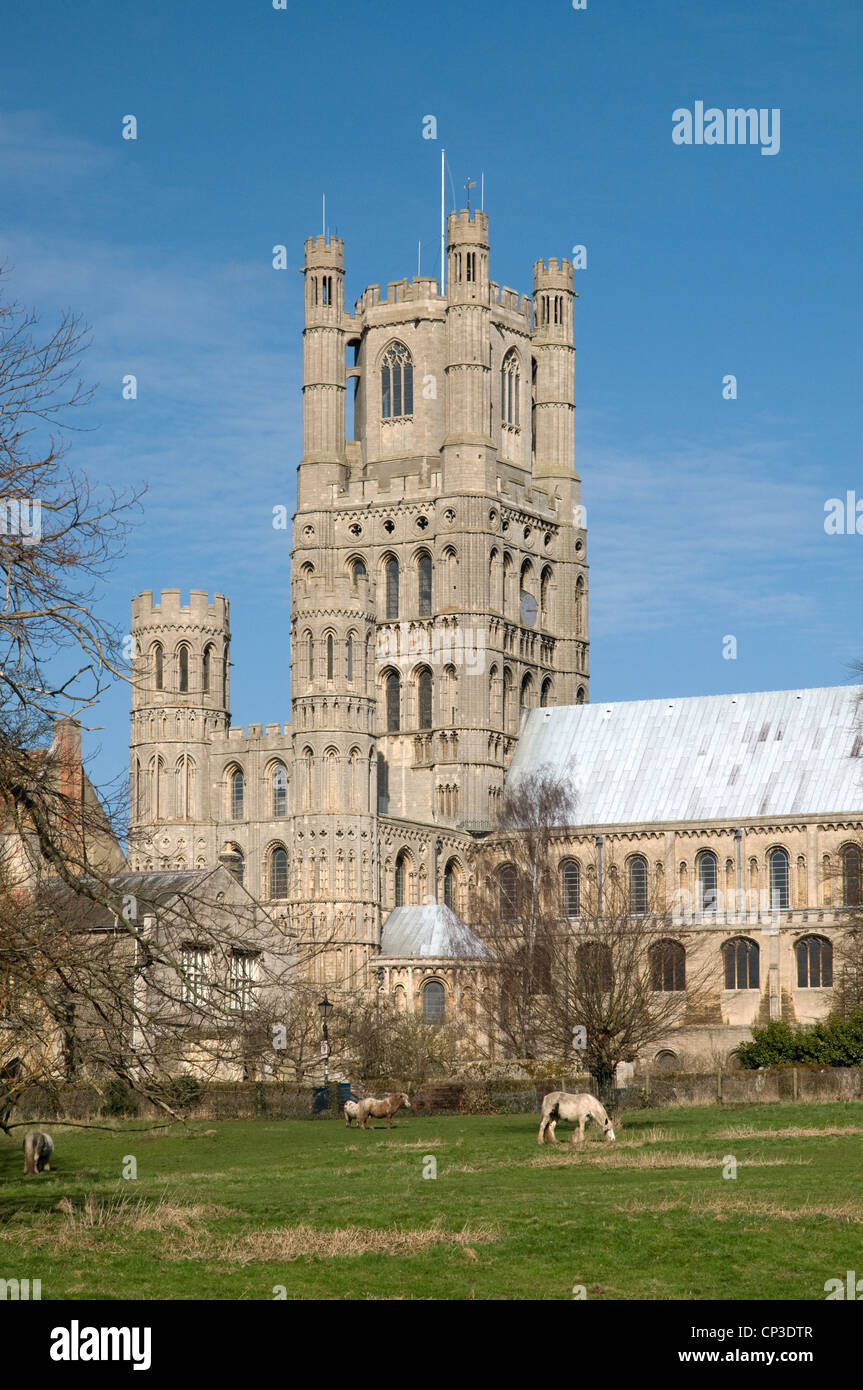 West tower of Ely Cathedral seen from green fields of Ely Park to the ...