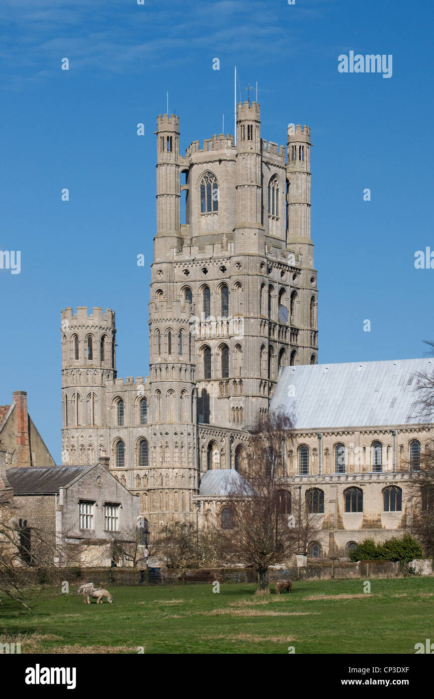 West tower of Ely Cathedral seen from green fields of Ely Park to the ...