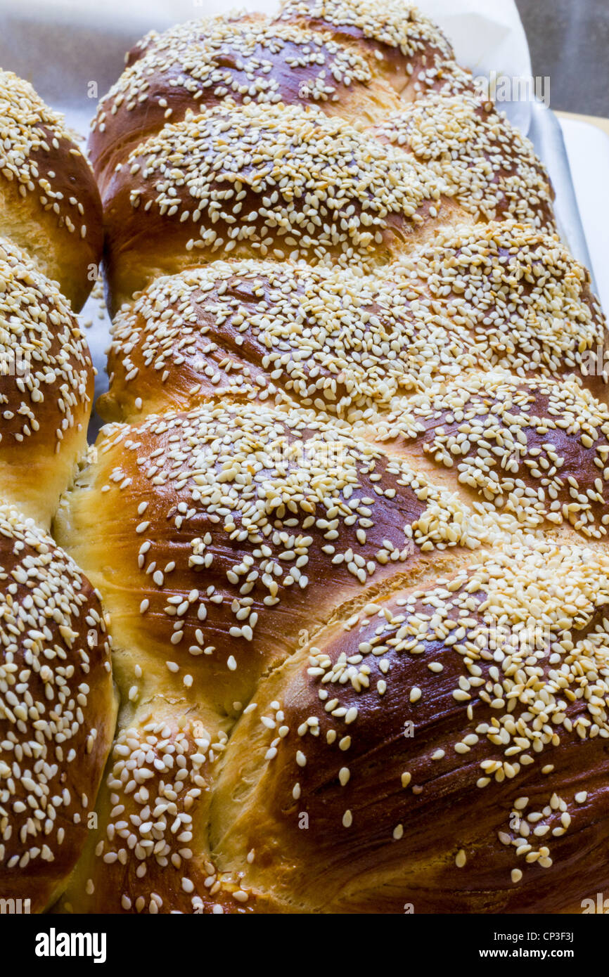Finished challah is well browned from the egg wash Stock Photo Alamy