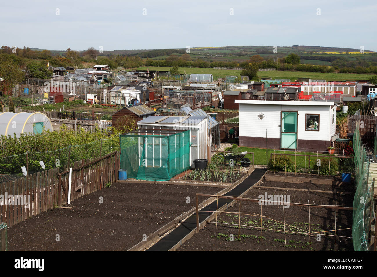 Allotment garden with a posh shed, High Handenhold near Beamish, Co. Durham north east England UK Stock Photo