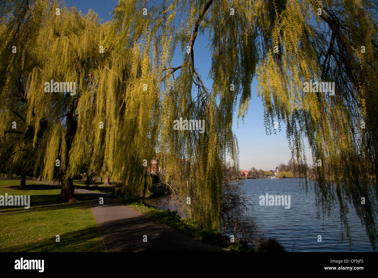 Radnor gardens hires stock photography and images Alamy