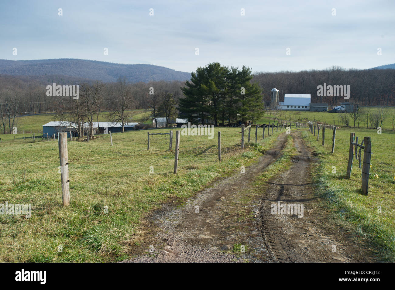Long dirt road leads to farm. Stock Photo