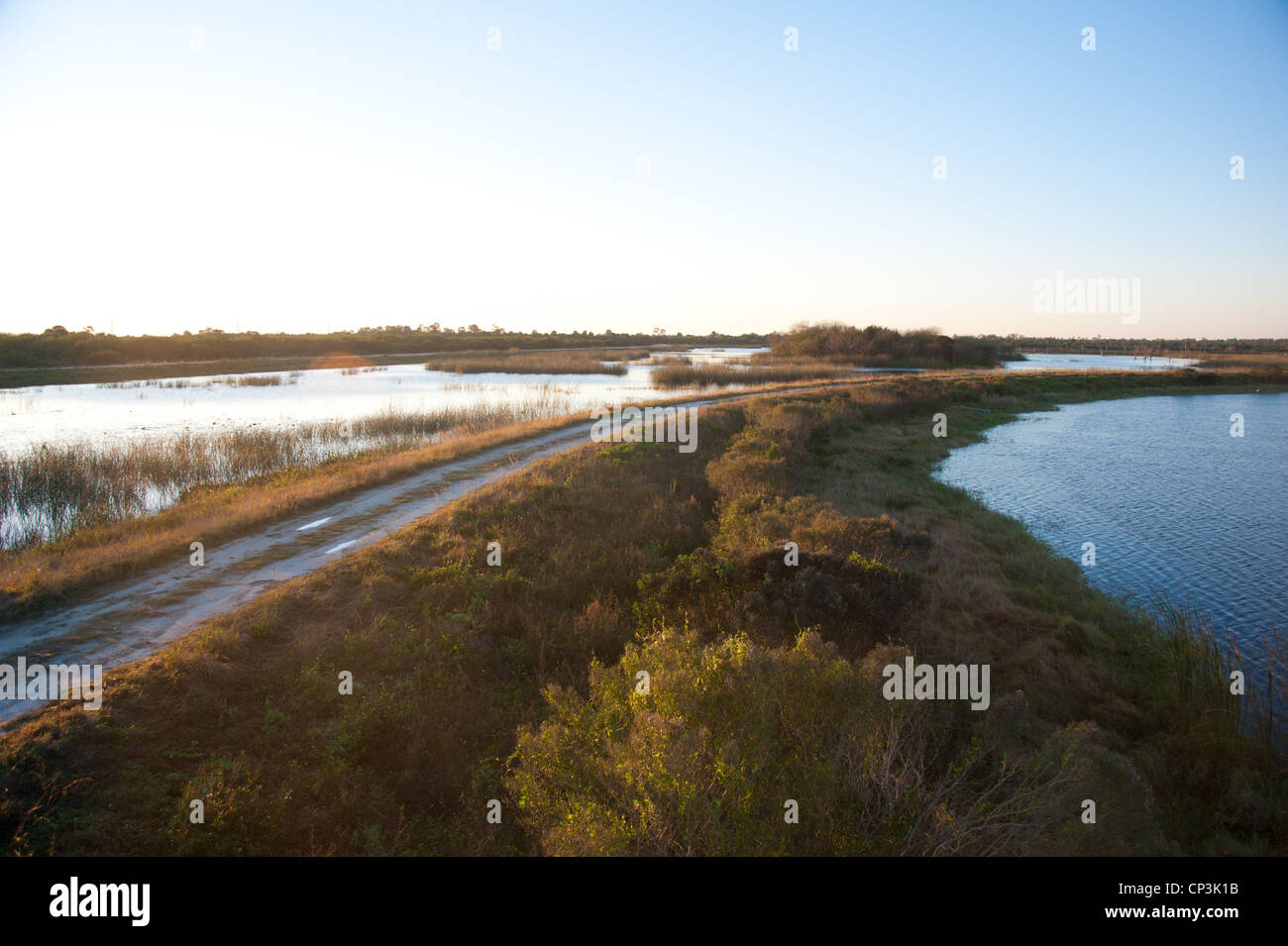 Marshlands landscapes in Florida Stock Photo