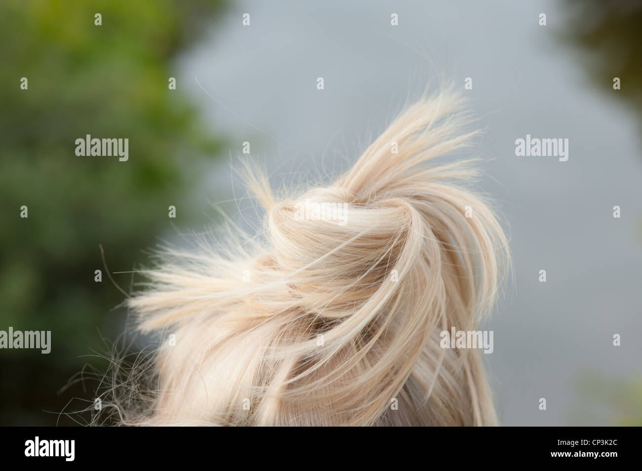 Blonde bun on top of girl's head Stock Photo