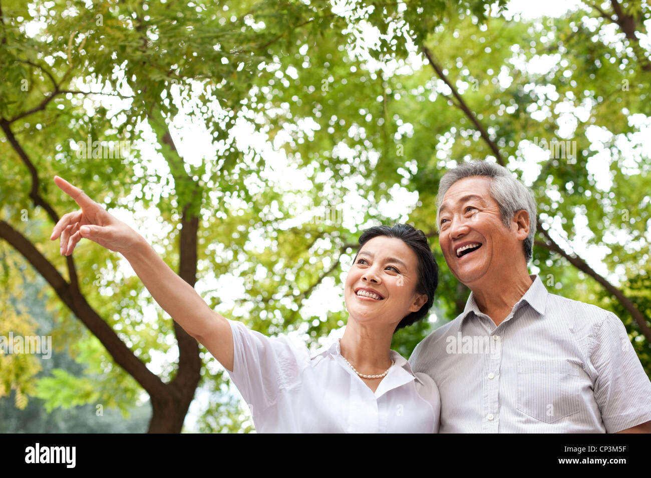 Senior Chinese couple in a park Stock Photo - Alamy