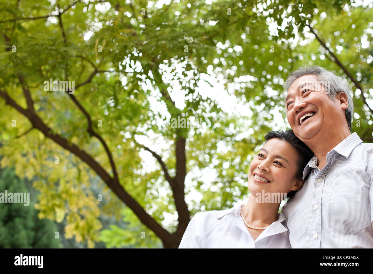 Senior Chinese couple in a park Stock Photo - Alamy