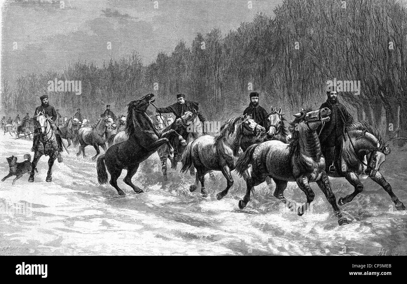 military, USA, army, artillery, winter promenade of the artillery horses, wood engraving after drawing by Vogt, New York, 1878, Additional-Rights-Clearences-Not Available Stock Photo