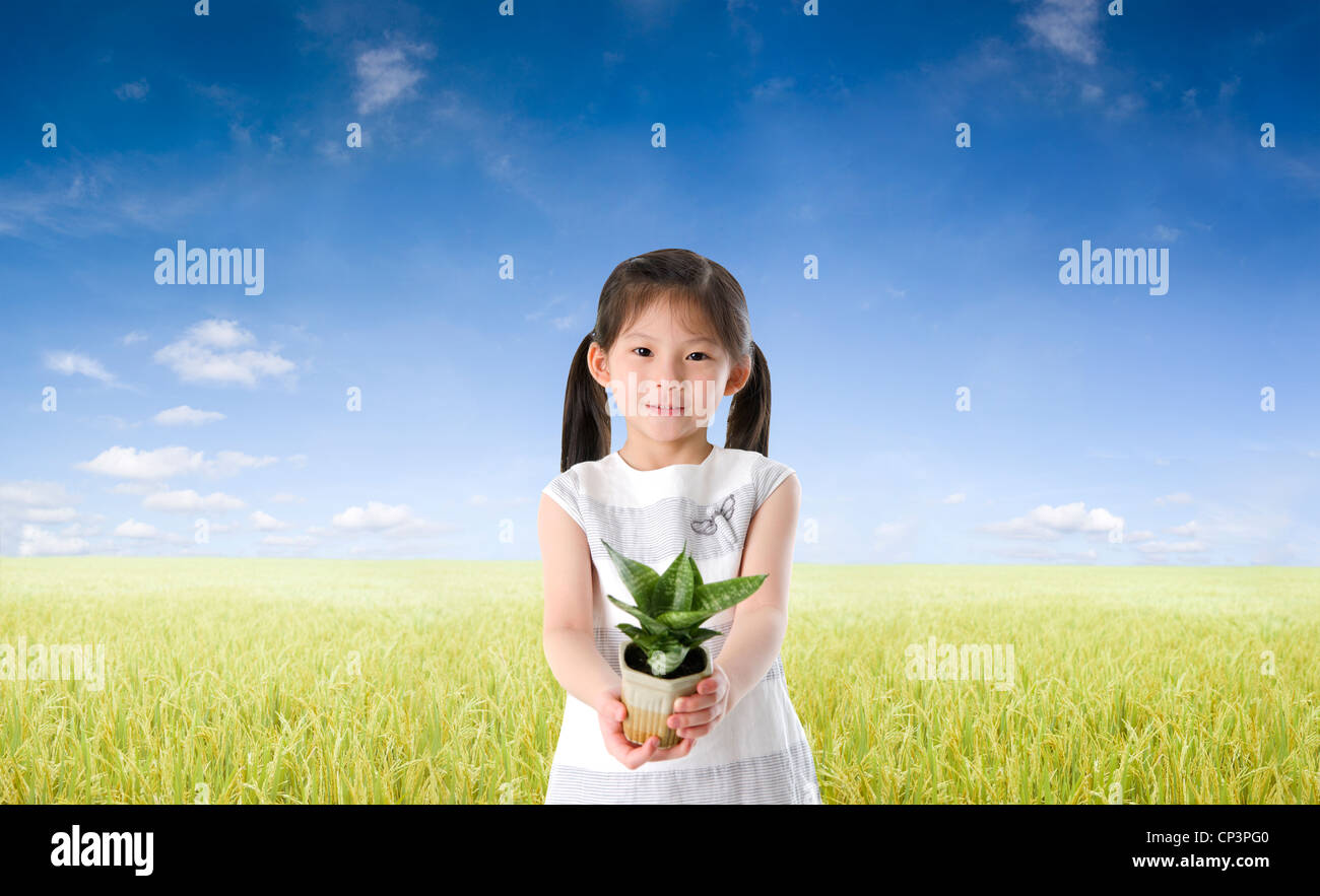 asian female holding plant concept photo Stock Photo