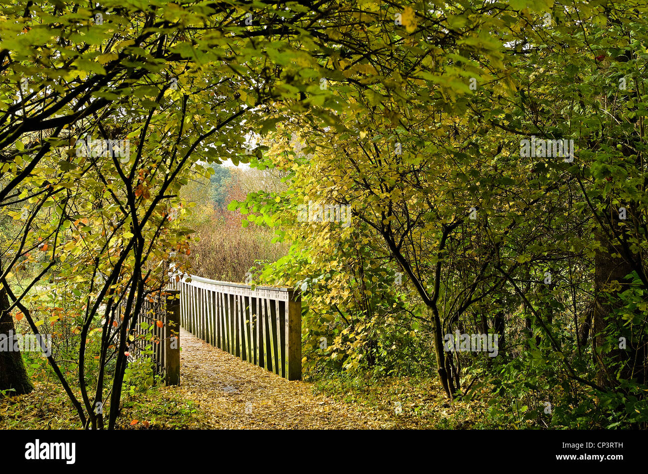 countryside scenery landscape Stock Photo