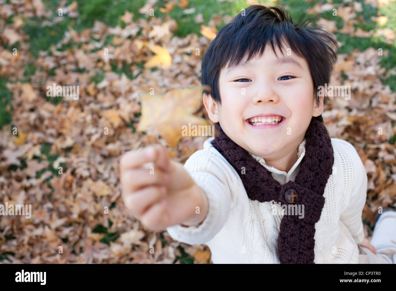 Boy holding up a leaf in Autumn Stock Photo - Alamy