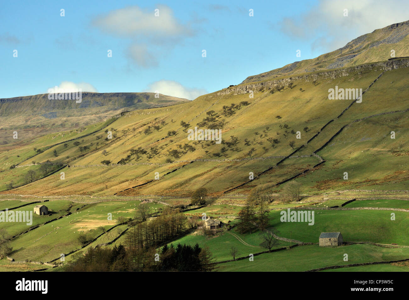 Bough Fell and Swarth Fell, Mallerstang, Cumbria, England, United Kingdom, Europe. Stock Photo