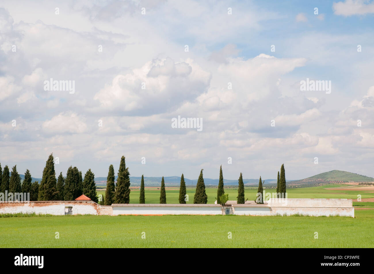 Cemetery and landscape. Santa Cruz de Mudela, Ciudad Real province