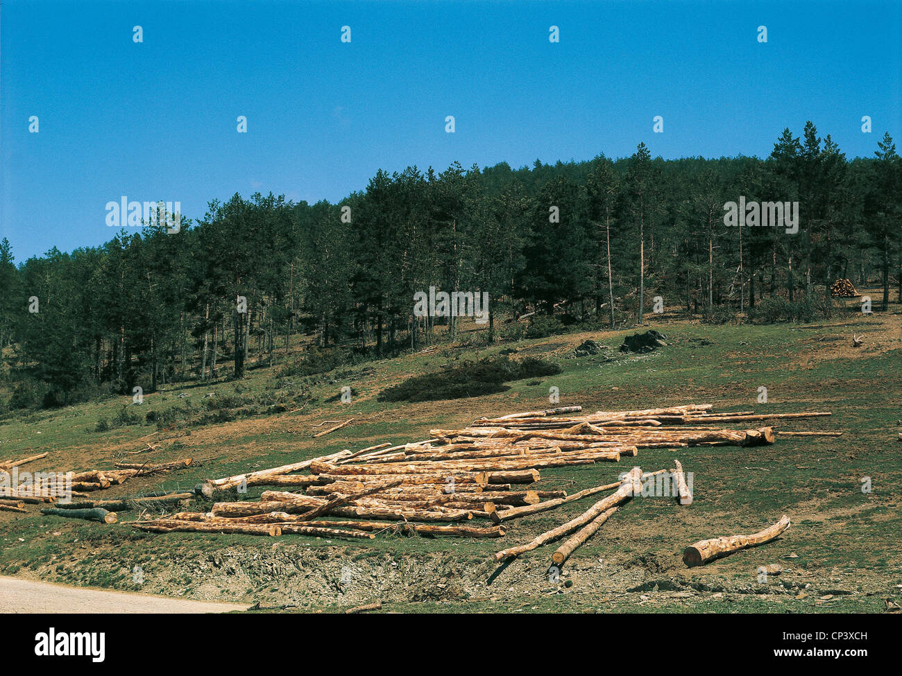 SPAIN ARAGON Sierra de Albarracin DEFORESTATION Stock Photo