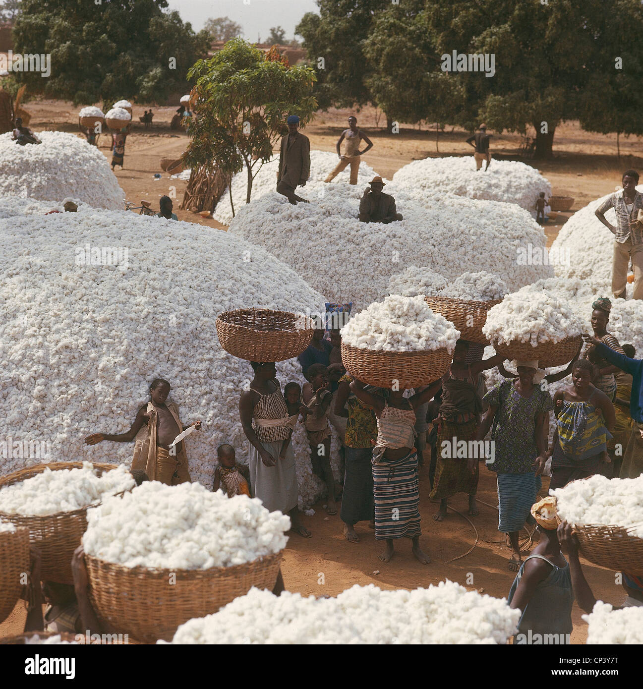 Burkina Faso - Collection of cotton Stock Photo - Alamy