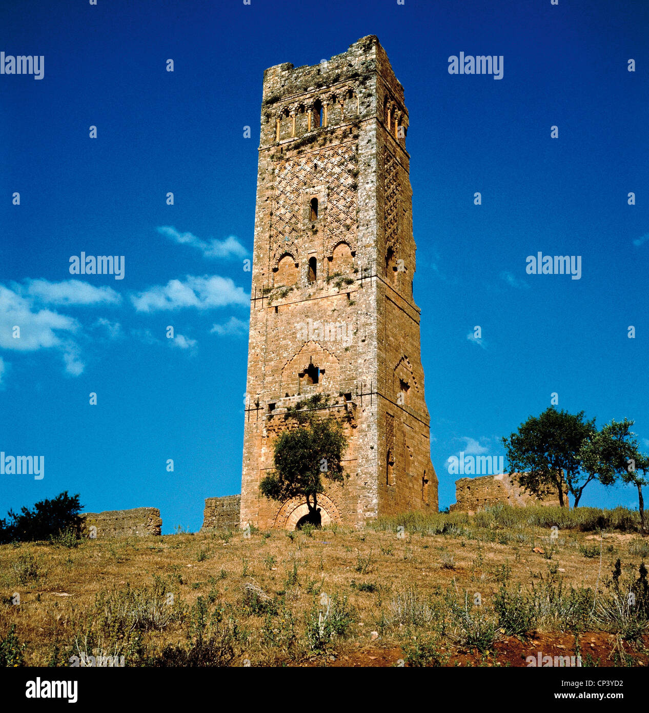 Algeria tlemcen hi-res stock photography and images - Alamy, image size:1266x1390