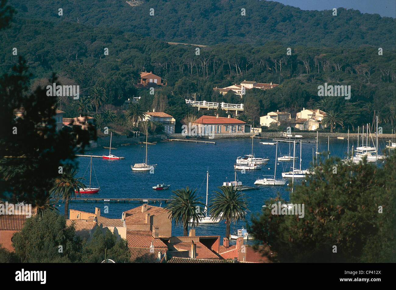 France - Provence-Alpes-Cote d'Azur - Iles d'Hyeres - Island of  Porquerolles, sparse Stock Photo - Alamy