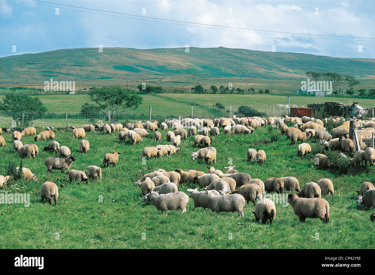 Northern Ireland Antrim County Crude Stock Photo Alamy