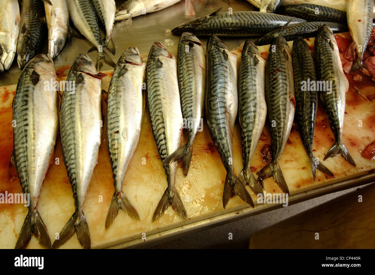 Germany - Bremen - Bremerhaven. Franke fishing industry. Fresh fish Stock Photo