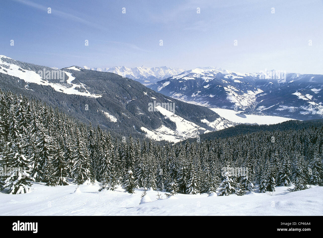 Austria - Salzburg - Zell am See - View of the woods Mitter Pinzgau Schmittenhohe. Stock Photo