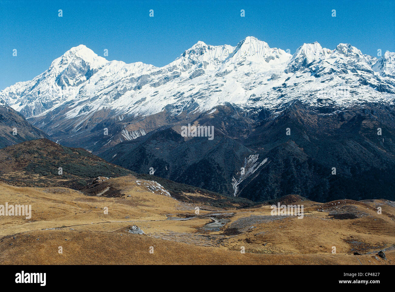 India - Sikkim - the Himalayas. In the background the Pandim Peak (6708 m  Stock Photo - Alamy