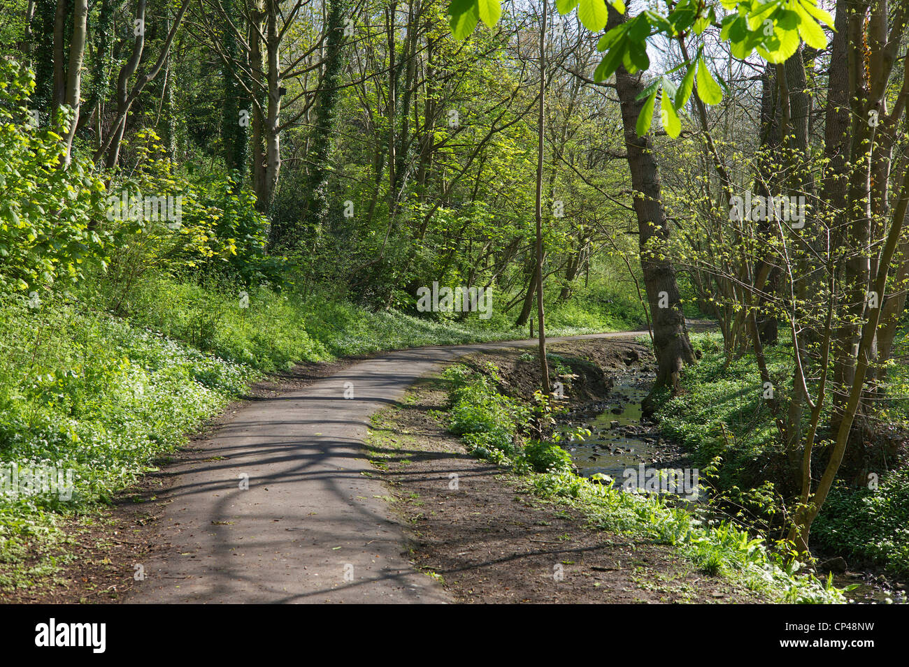 Badock's Wood UK Stock Photo