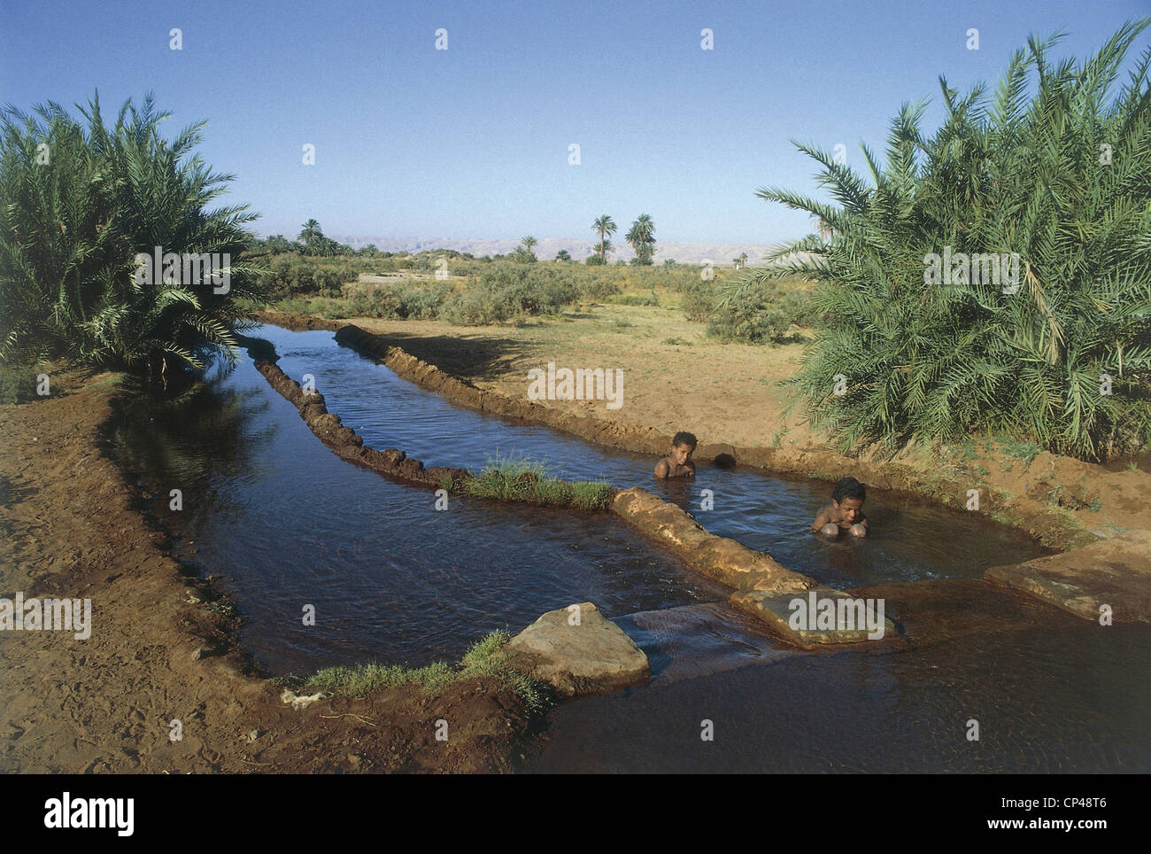 Egypt Eastern Sahara Oasis of Kharga. Irrigation canal in the