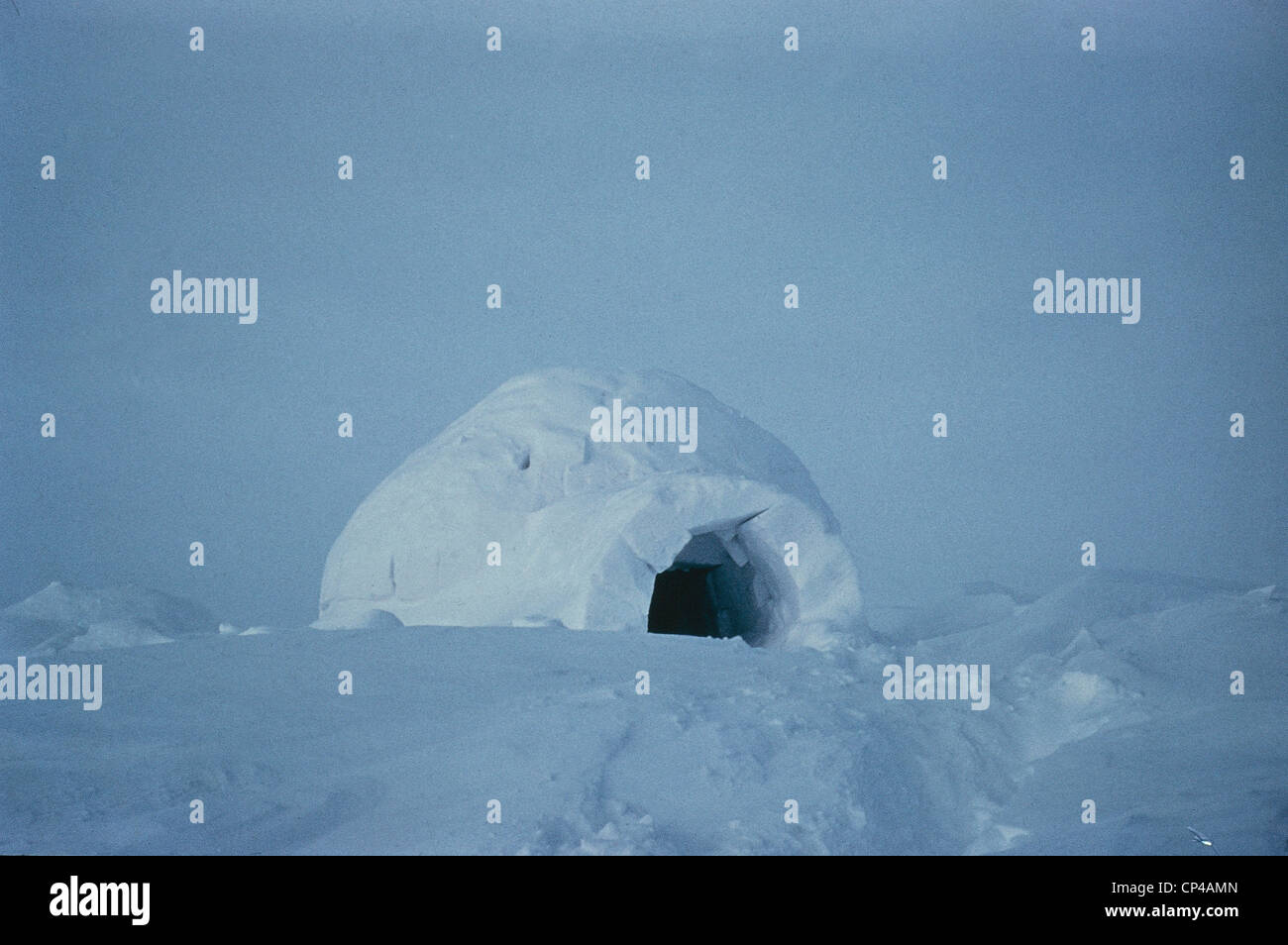 Arctic Igloo Stock Photo Alamy