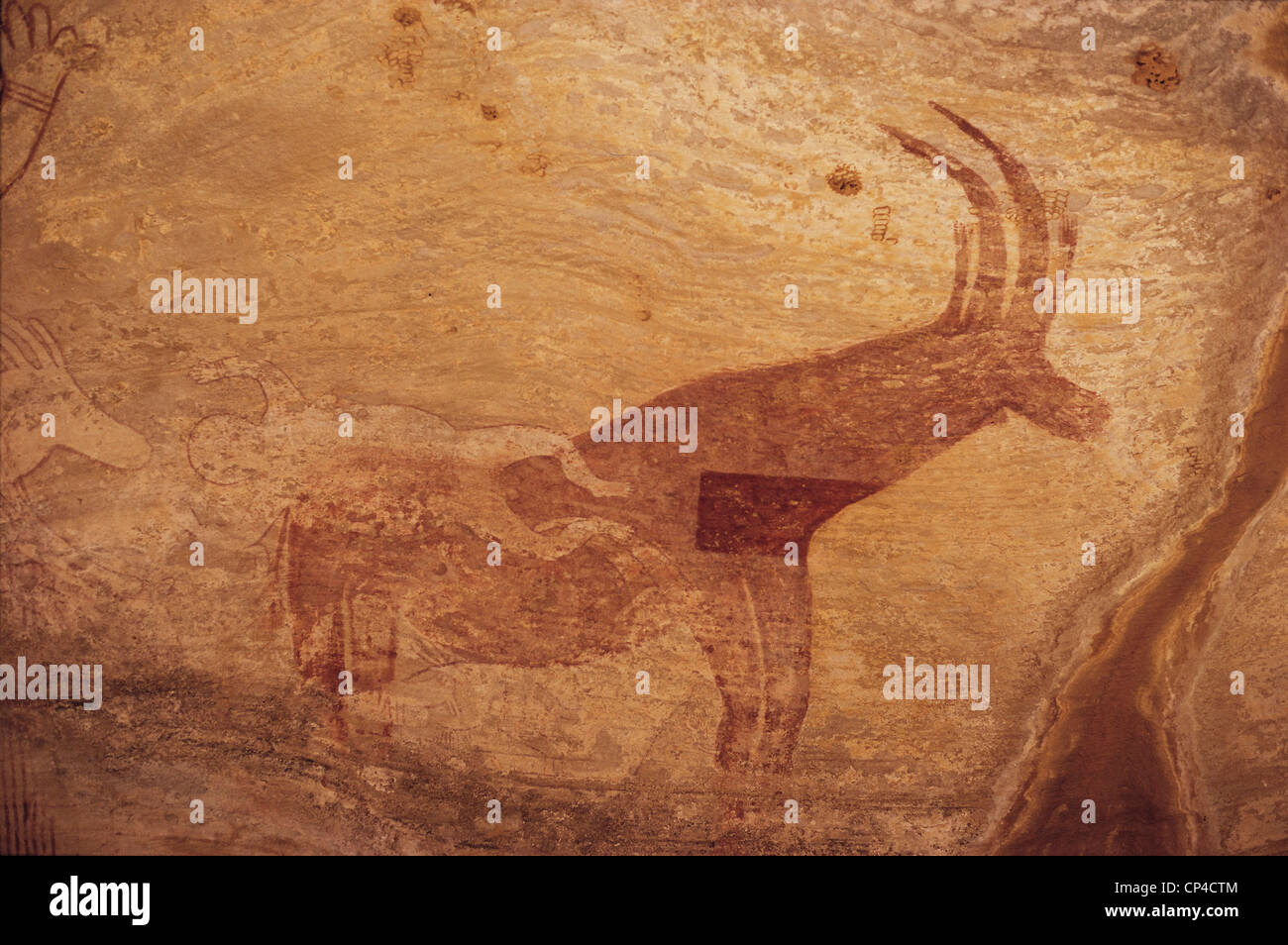 Algeria Sahara Tassili N Ajjer Sefar Rock Art Stock Photo Alamy