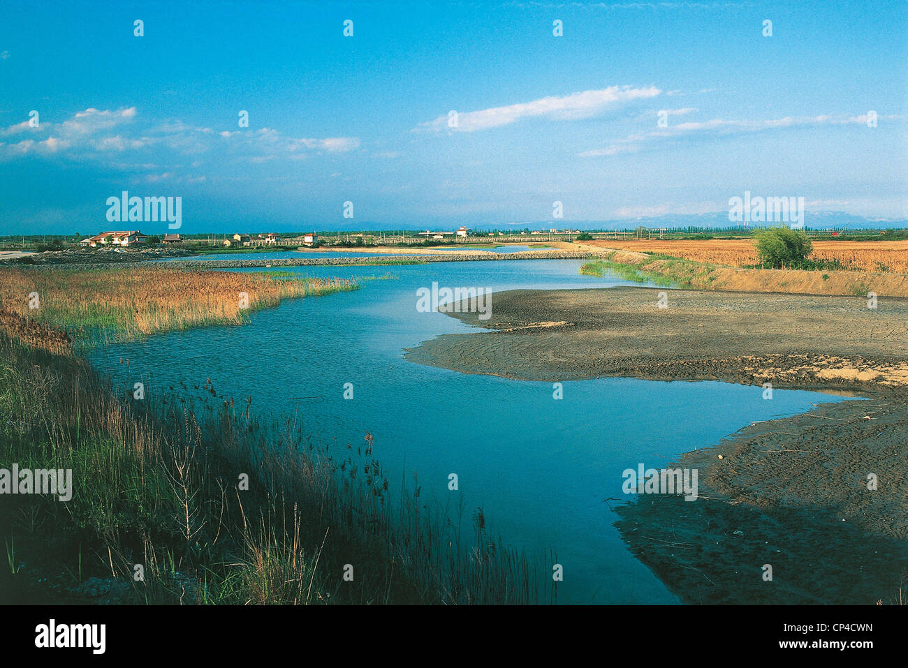 FRIULI MARANO marshy lagoon Stock Photo