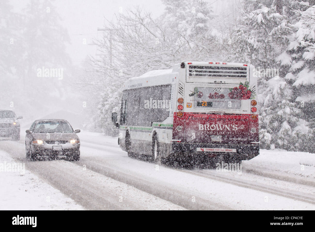 City transit bus on rural road during winter blizzard-Victoria, British Columbia, Canada. Stock Photo