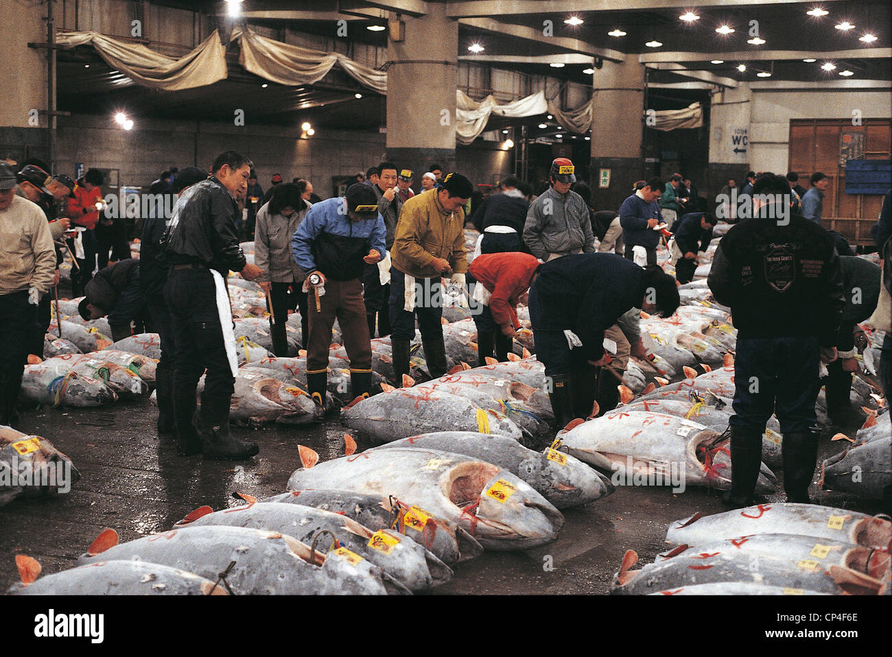 Japan Tokyo Tsukiji Fish Market TUNA Stock Photo - Alamy