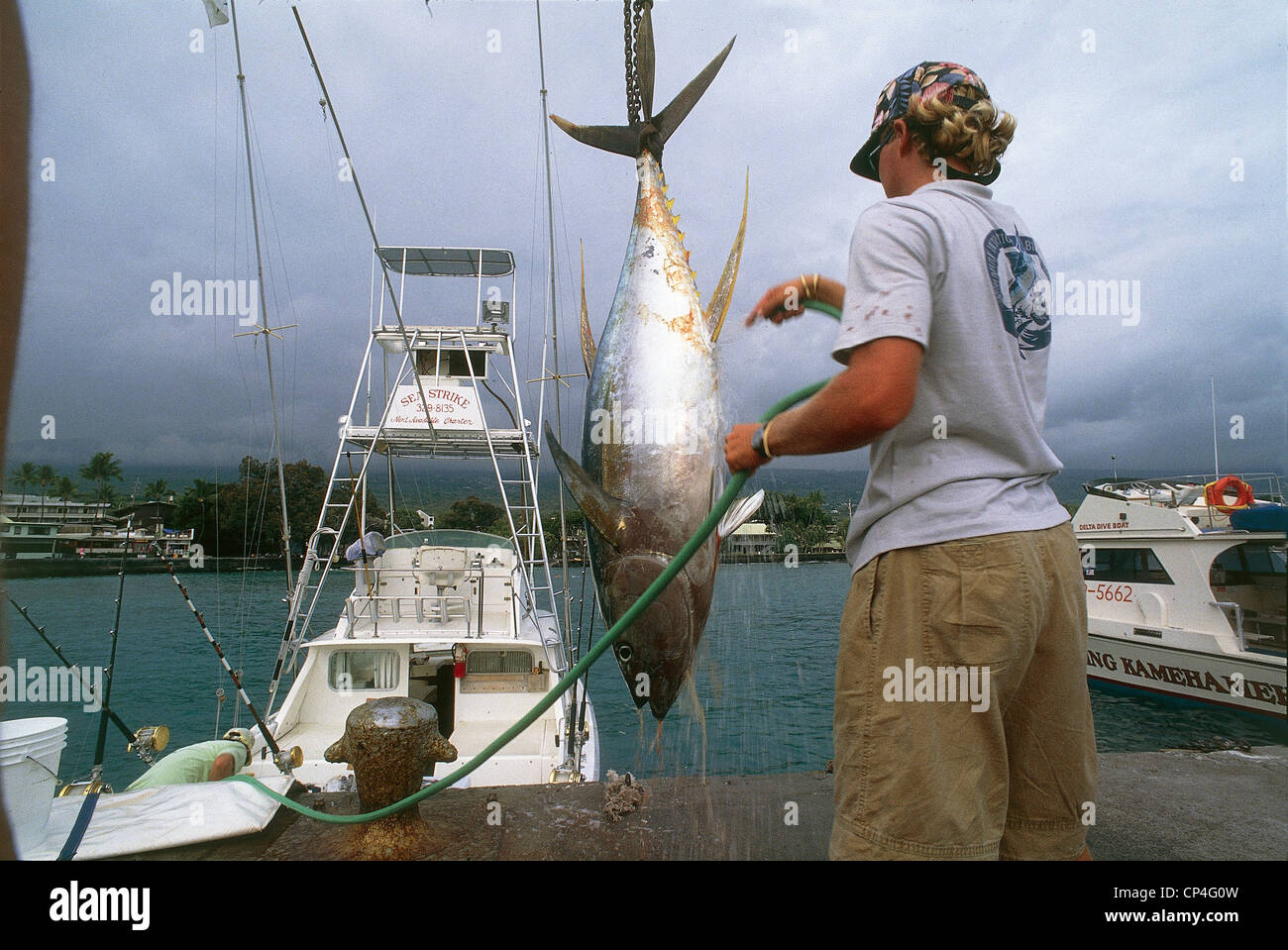 United States Of America Hawai Hawai Kona Fishing For Tuna Stock Photo