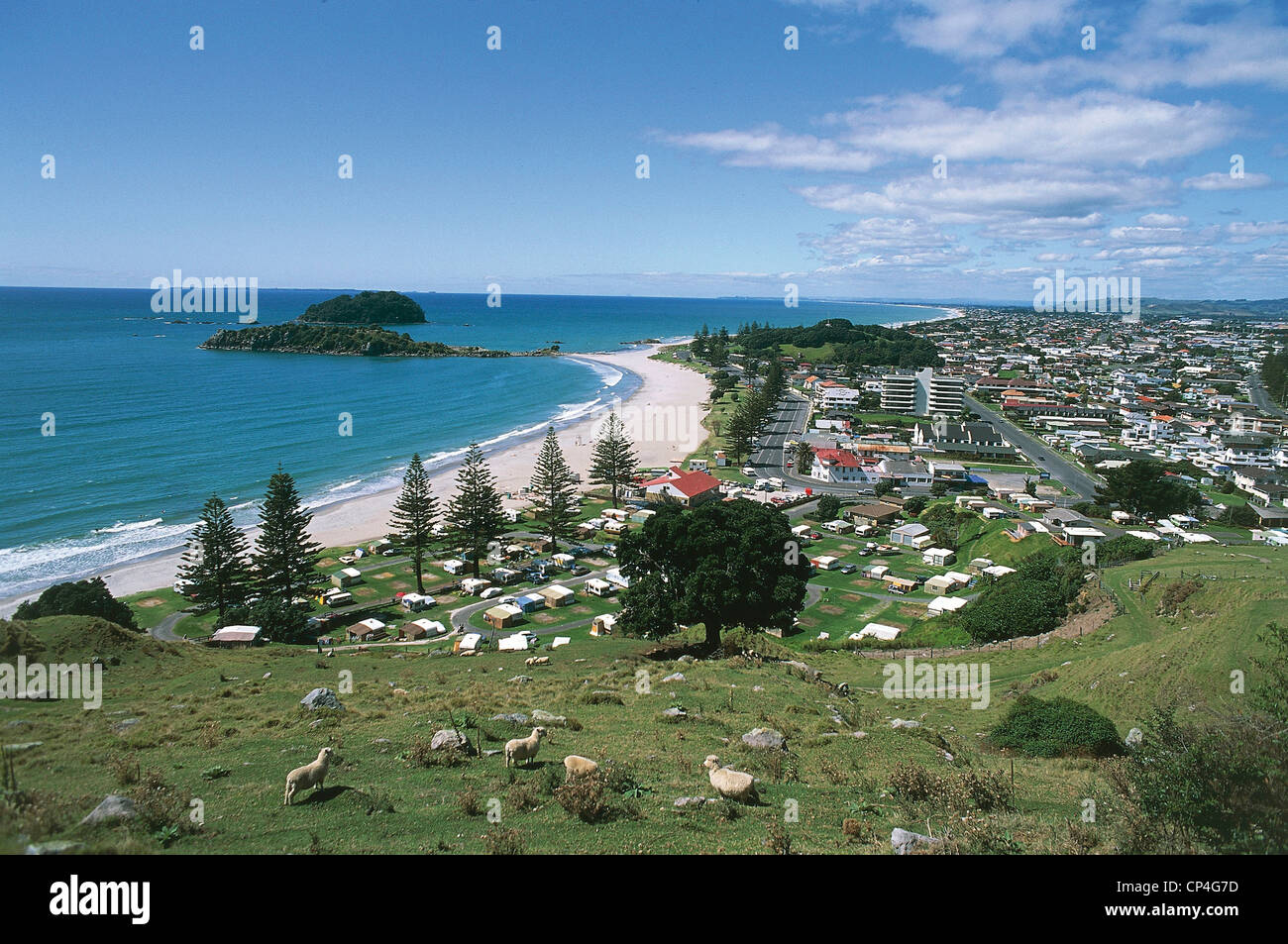New Zealand - North Island - Bay of Plenty - Tauranga - The Main Beach ...