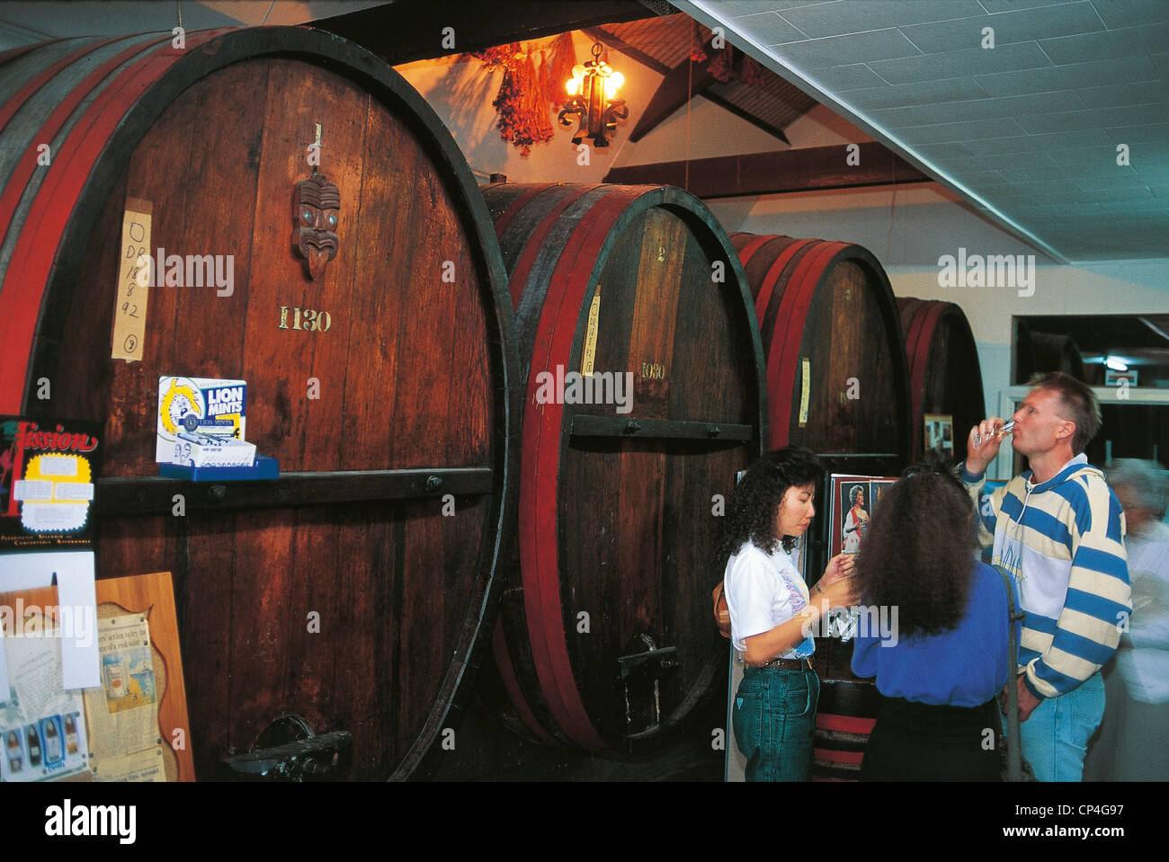 Napier New Zealand Wine Cellar Stock Photo Alamy