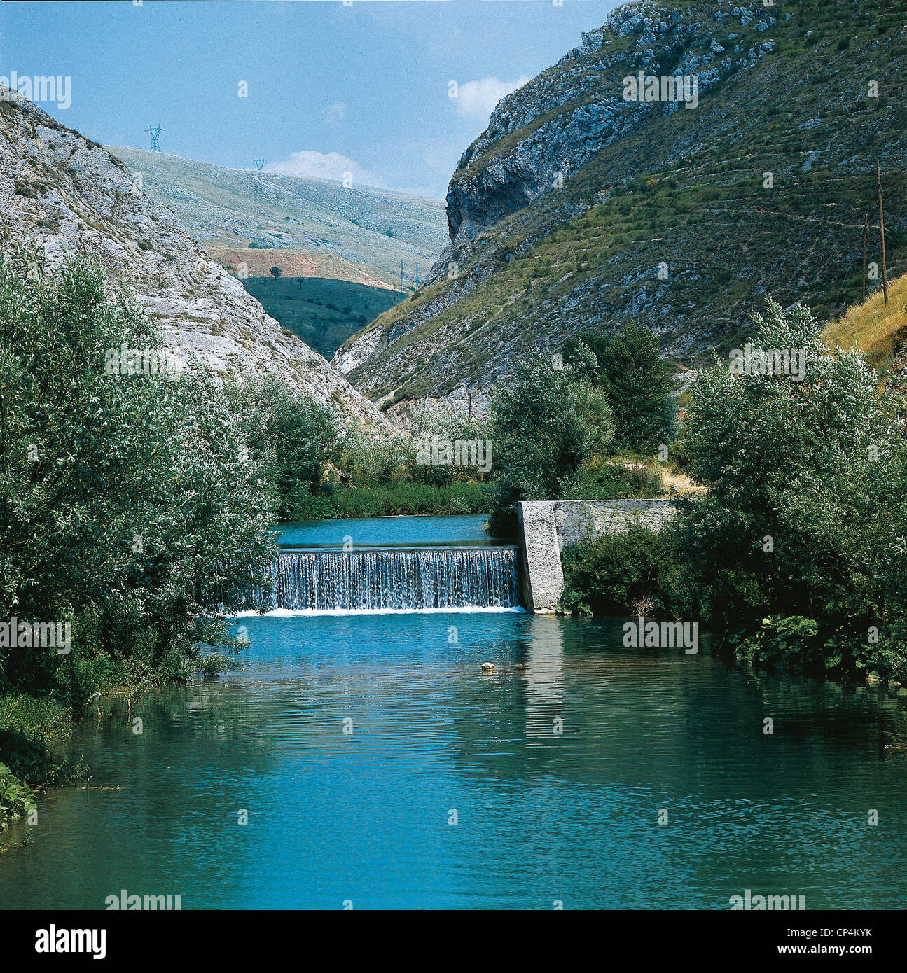 Abruzzo Pescina River Heifers Stock Photo