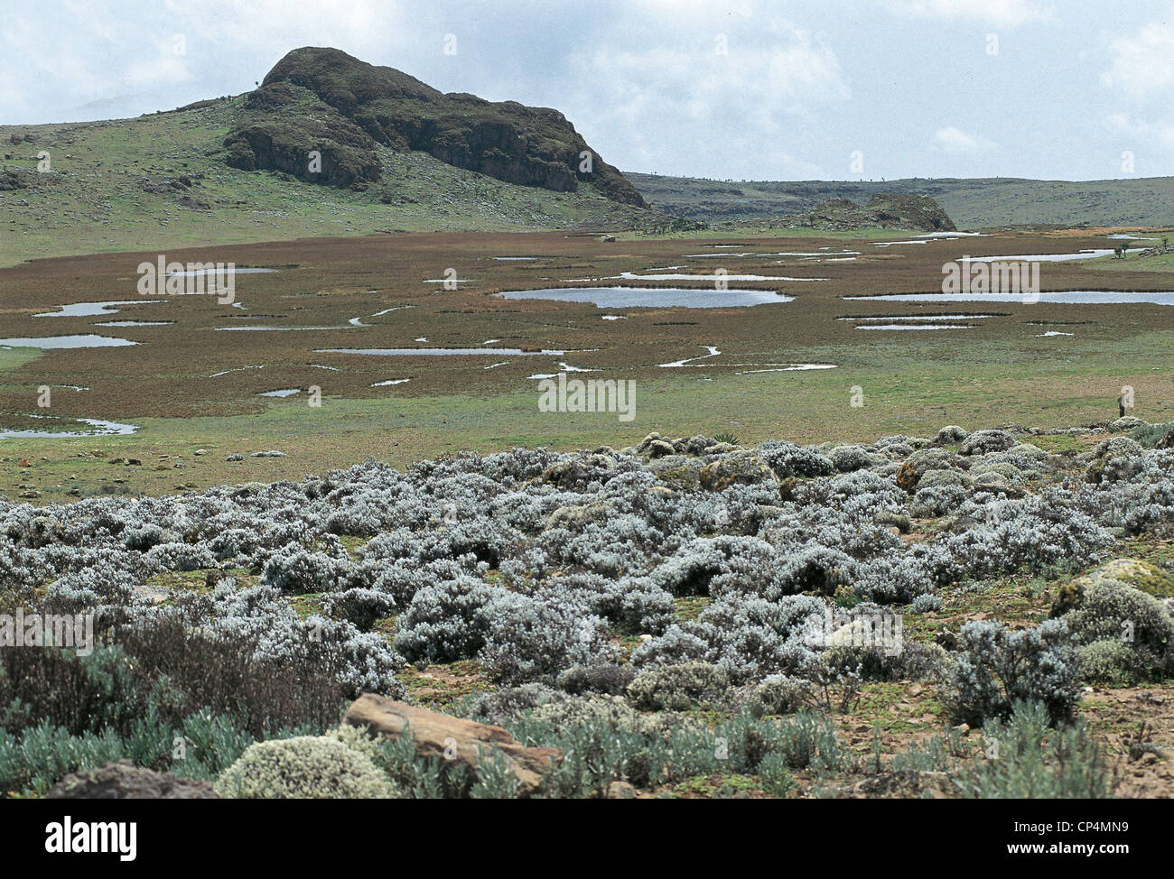 Parco africa hi-res stock photography and images - Alamy