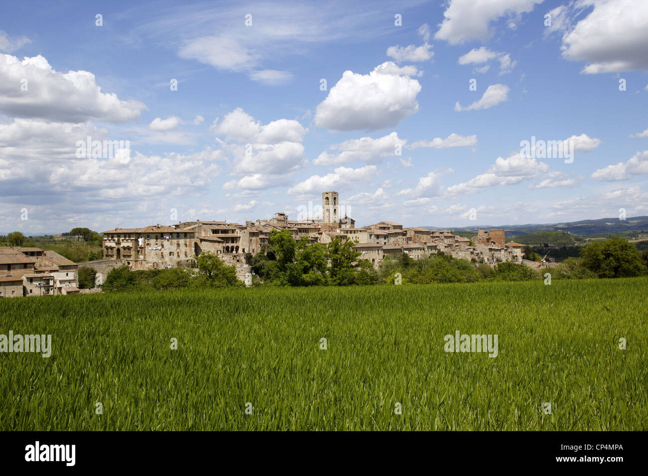 Italy - Tuscany Region - Colle Val d'Elsa (Si). Stock Photo