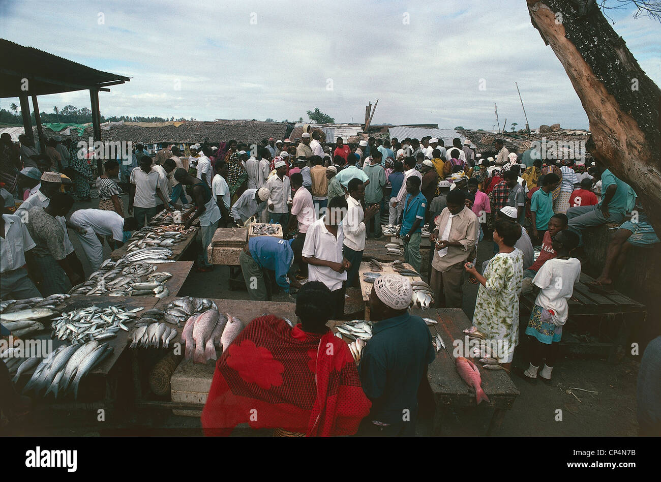 Tanzania Dar Es Salaam Fish Market Stock Photo Alamy