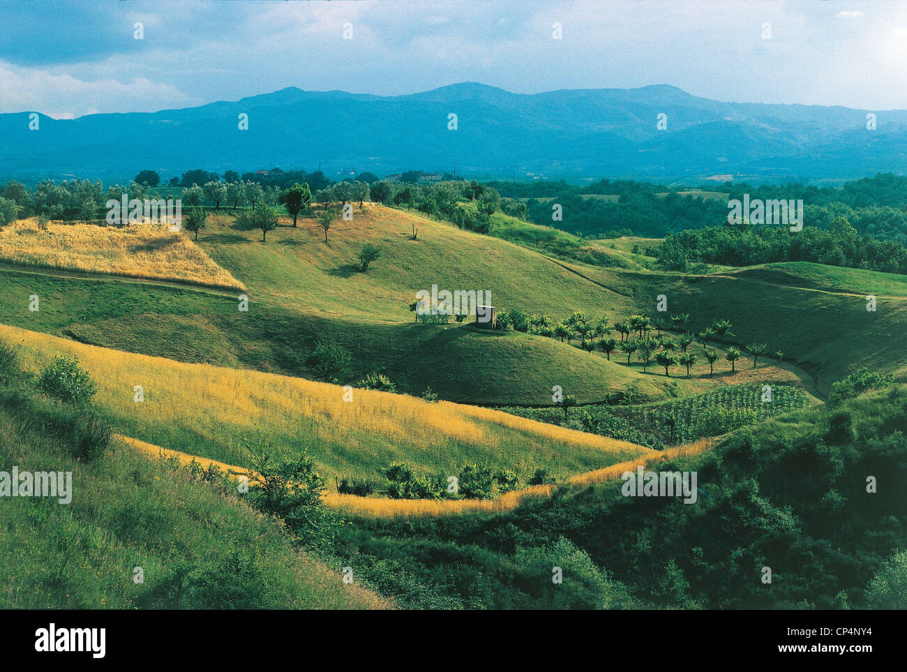 Valdarno Tuscany Hills Around Stork Stock Photo