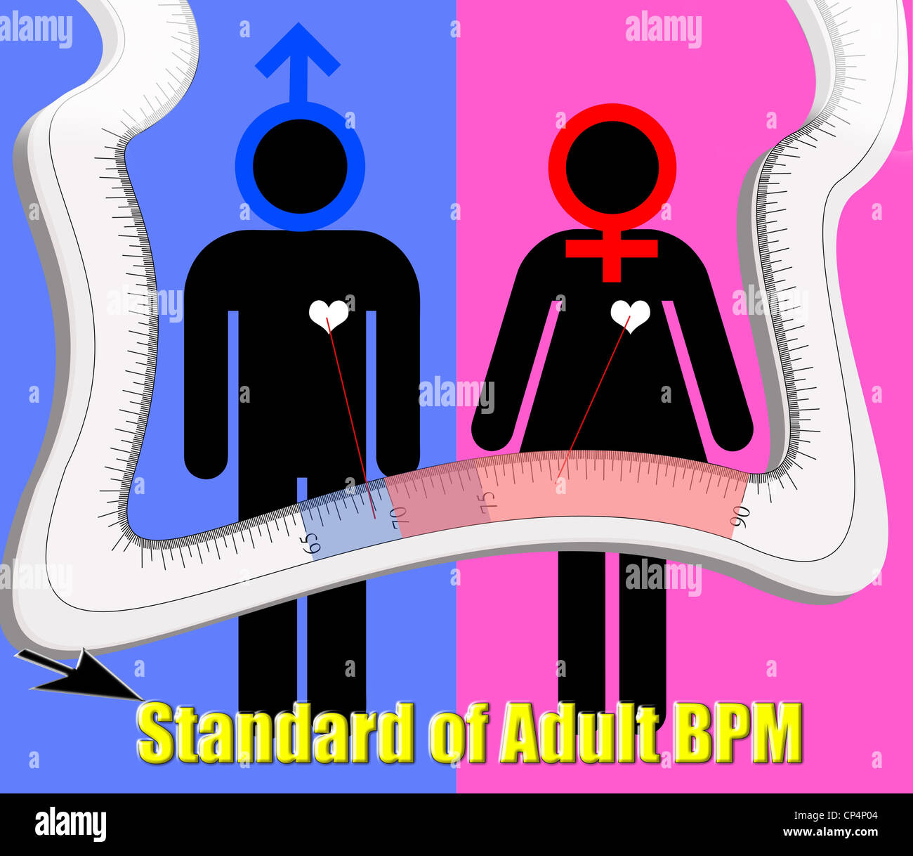 Standard of adult heart beat per minute Stock Photo
