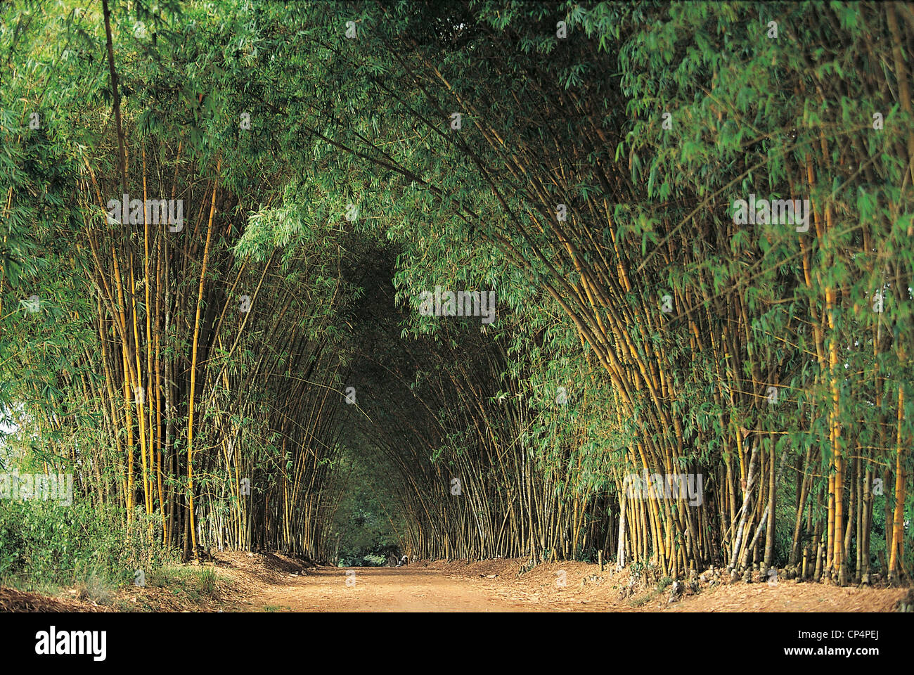 Bingerville hi-res stock photography and images - Alamy