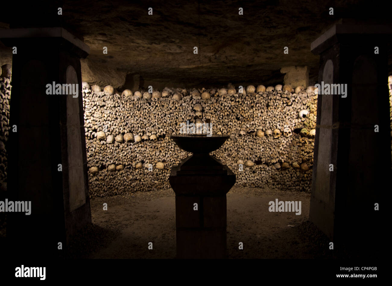 Real skulls bones in paris hires stock photography and images Alamy