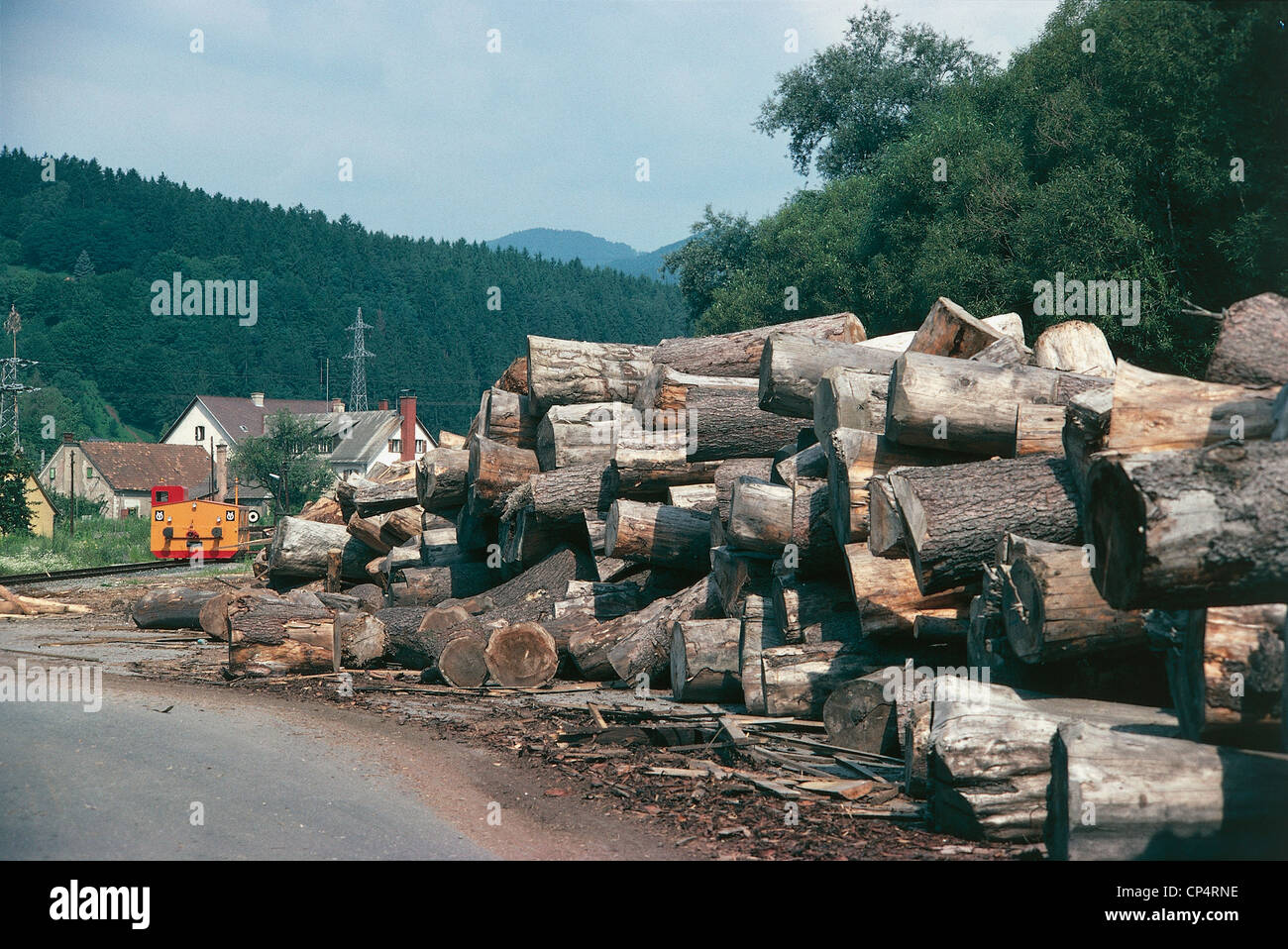 Austria - Styria - Gratkorn. Paper industry, wood Stock Photo